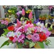 長崎県西彼杵郡長与町フローラルスタジオ　トラヤの花　Torayaオリジナル　A-43
